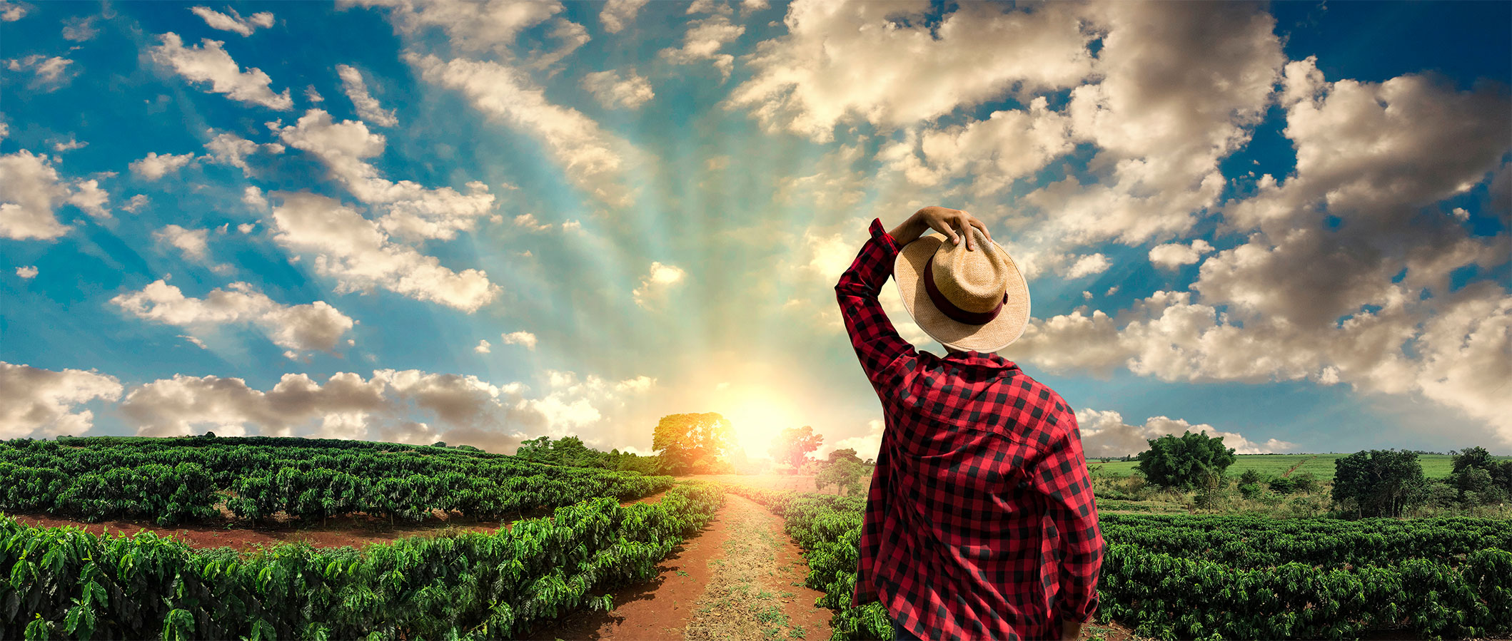 Usta Ellerin İlk Tercihi